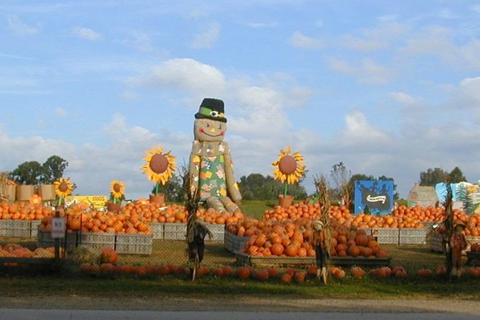 Linvilla Orchards