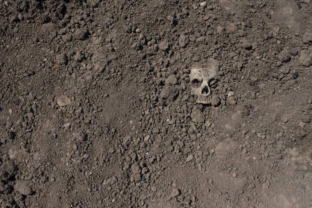 Skull in the ground