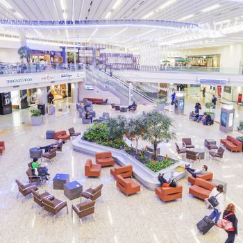 Chairs encircle indoor plants; people sit leisurely. Bright airport terminal features shops above, travelers walking with luggage, seating area accompanied by decorative lighting.
