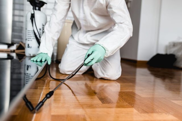 Person in protective suit applies pesticide from a spray container onto a wooden floor in a residential setting.