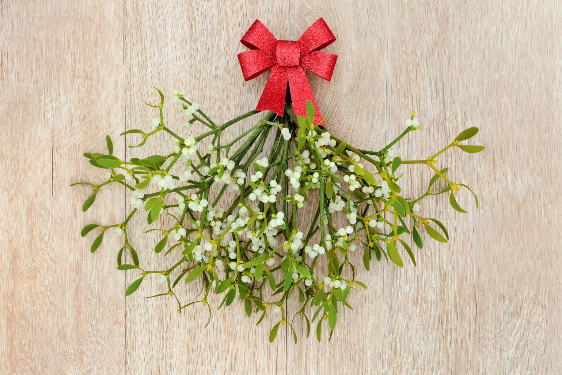 mistletoe 