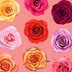 7 Surprising Things Your Outfit Color Says About You