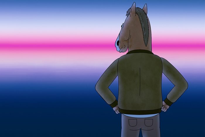 Bojack Horseman Tv Show