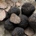 What Are Truffles—And Why Are They So Darn Expensive?