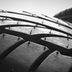 This Is Why Tires Have Hairs, According to Car Experts