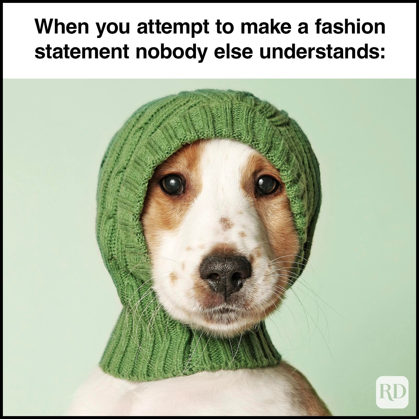 Dog Memes 48
