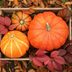 When Is the First Day of Fall? The Autumnal Equinox in 2025