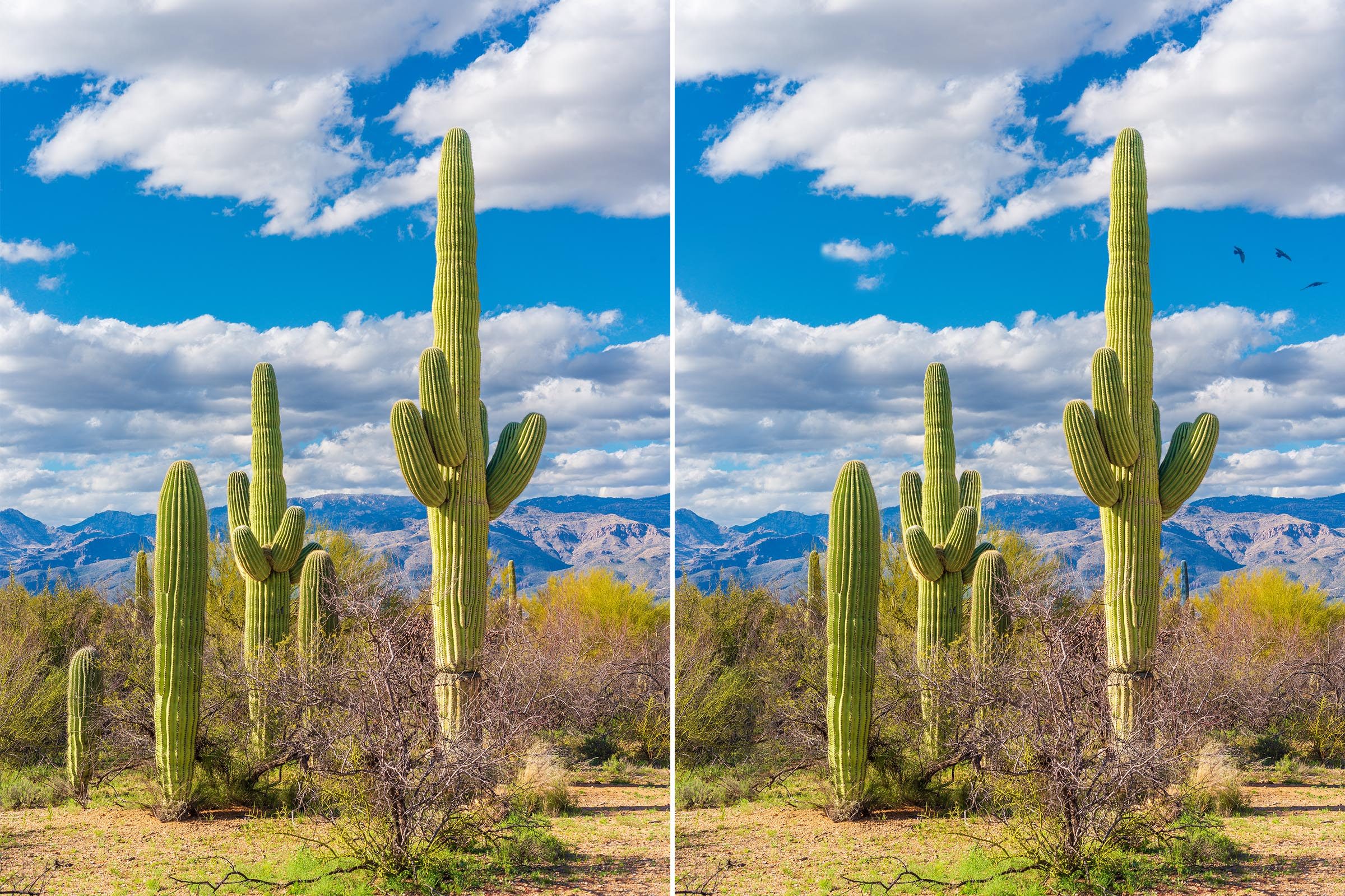 Spot The Difference 19 Gettyimages 1868494556