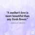 50 Amazing Dad Quotes