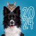 These Are the Most Popular Pet Names of 2024—Did Your Furry Friend's Name Make the List?
