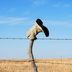 If You See a Boot on a Fence, Here's What It Means