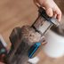 Here's How Long You Can Go Without Emptying Your Vacuum's Canister