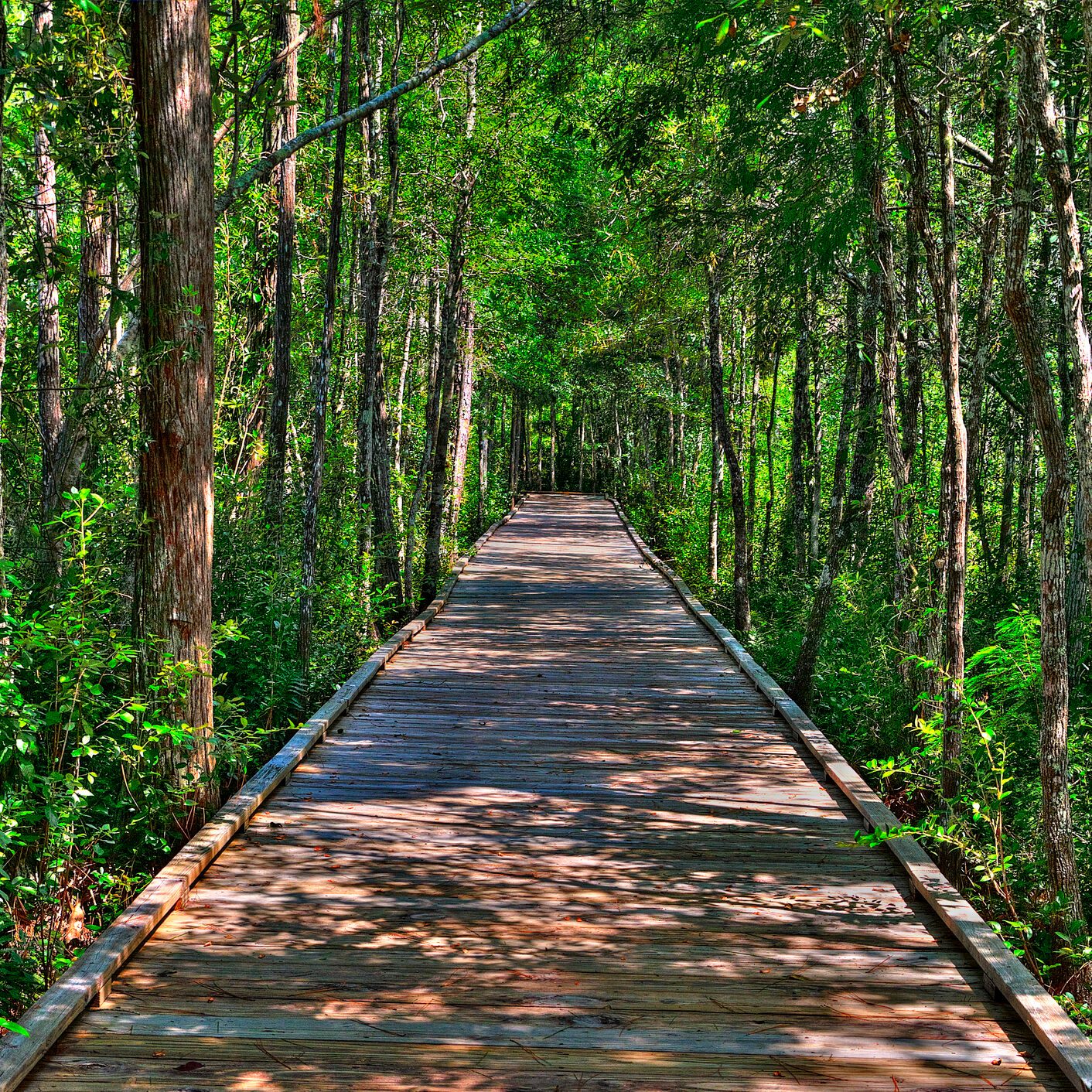 New Study: This Is the No. 1 City to Retire in the Southern U.S.—and It’s Not in Florida