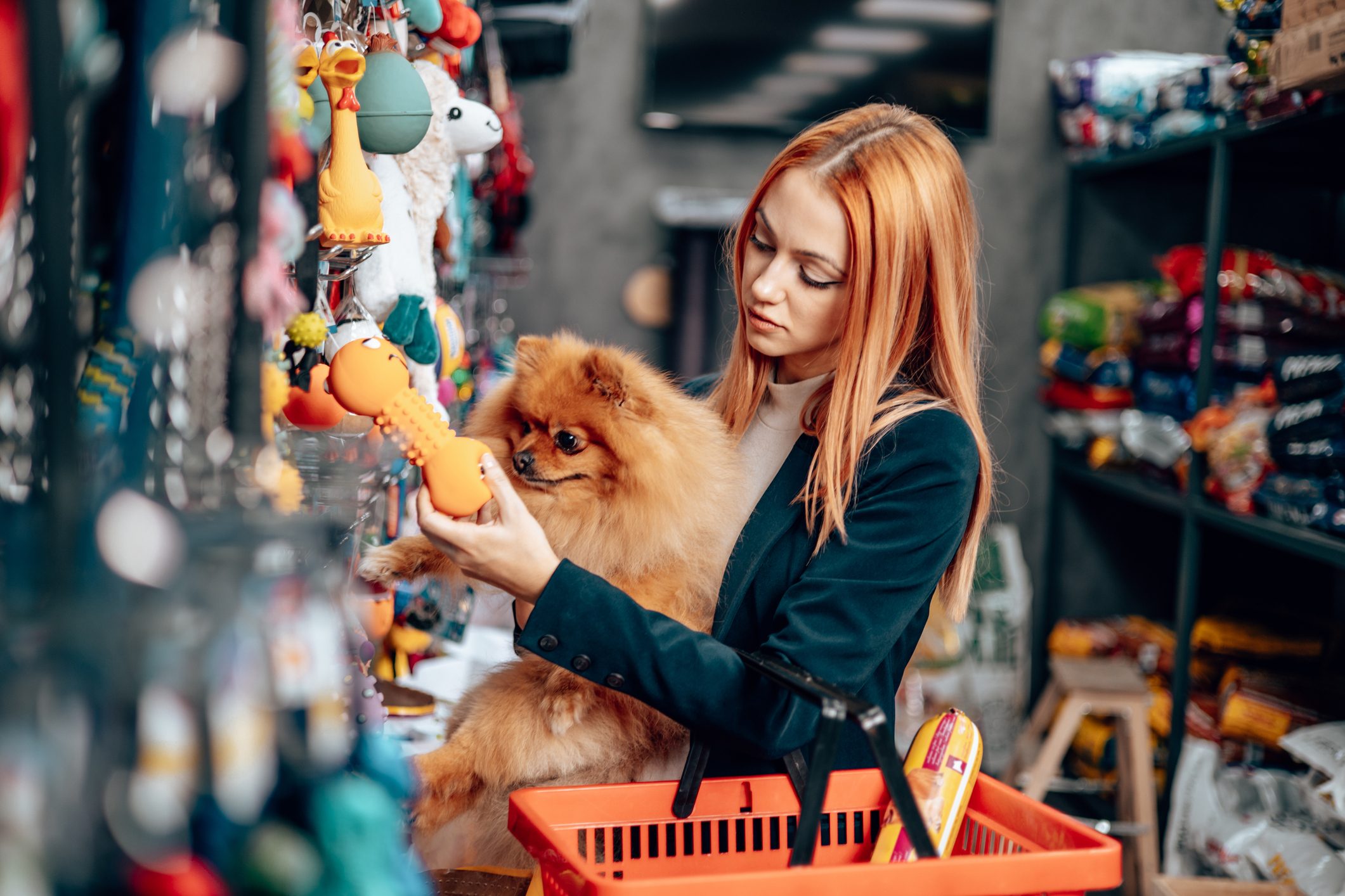 Woman holding a pomeranian dog and a red shopping basket peruses dog toys in a pet shop