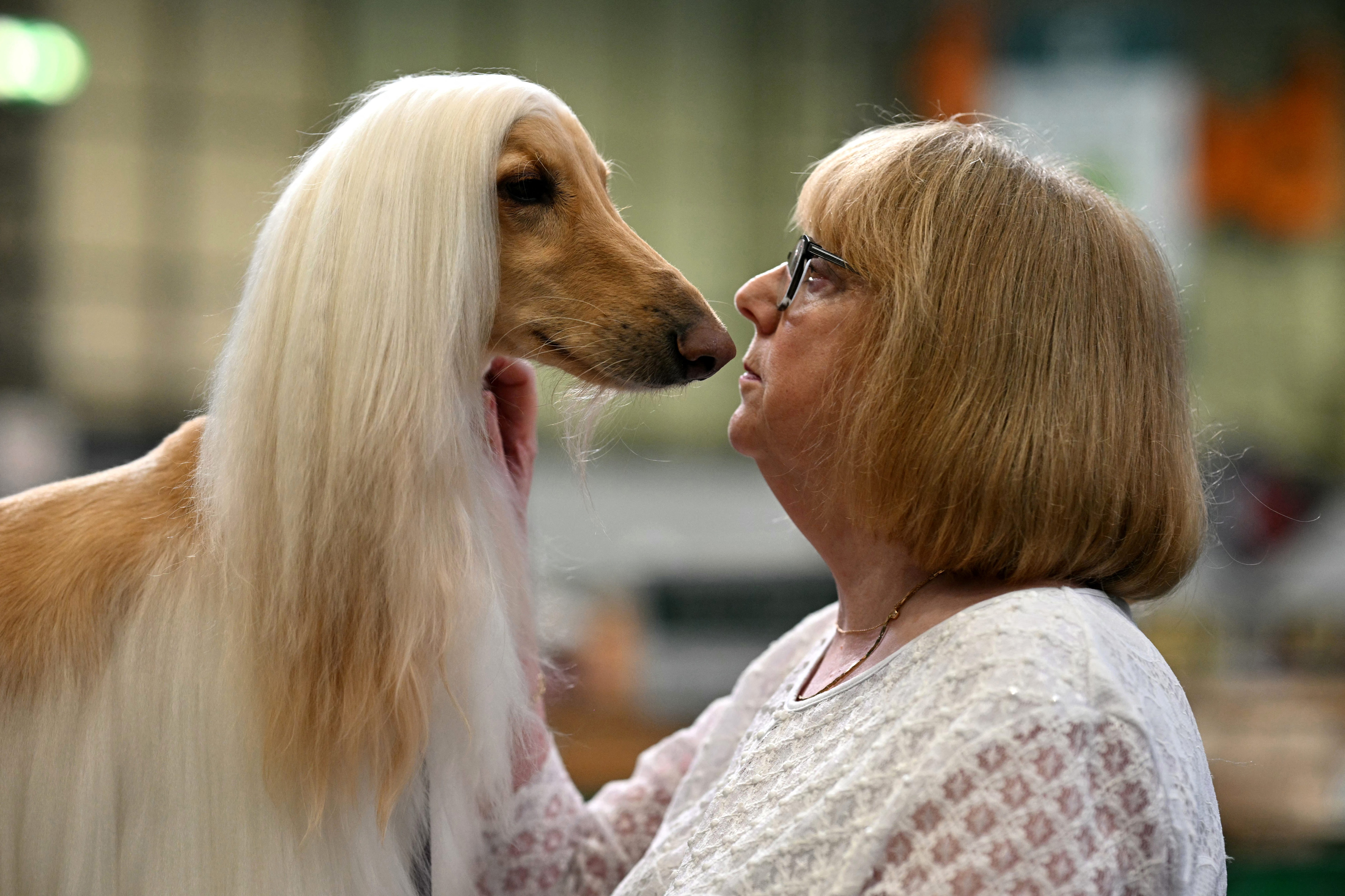 New Report: It’s Becoming More Expensive to Own a Dog—You’ll Be Shocked by Exactly How Much
