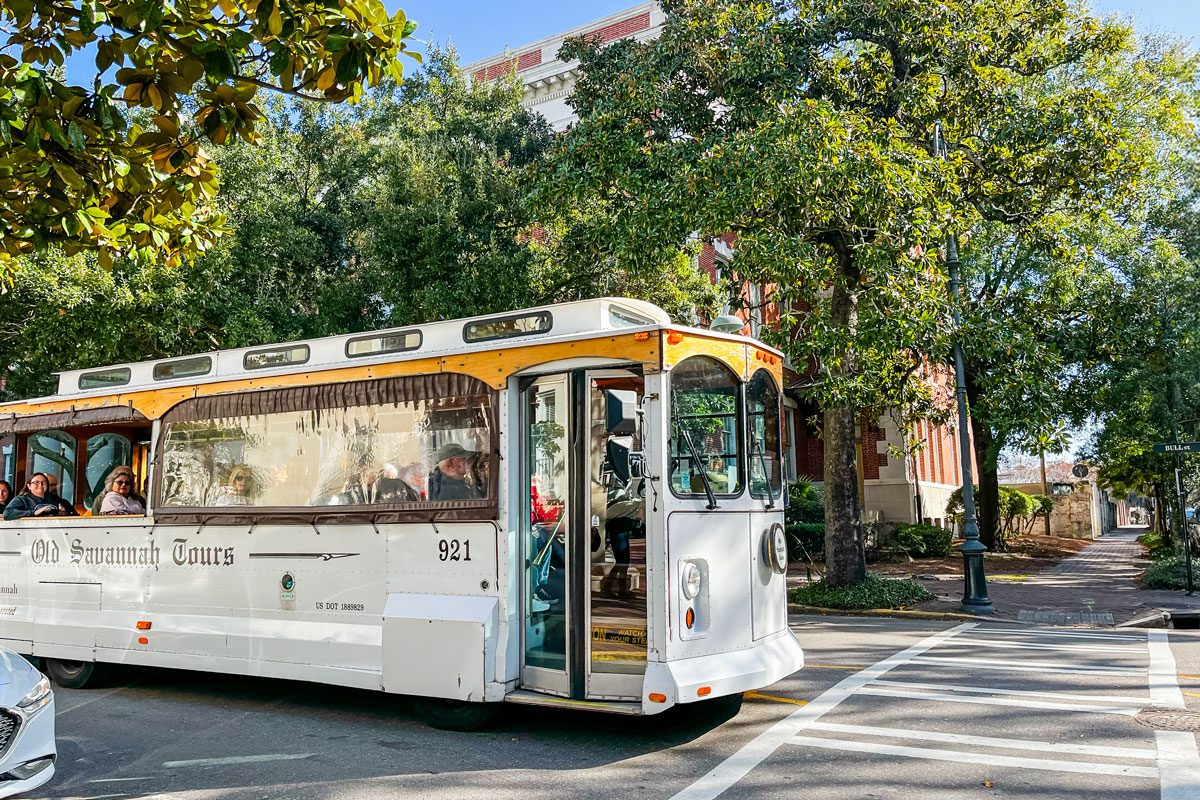 Savannah Guide