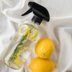 Home Remedies for Fleas: 11 Easy Tips Worth Trying