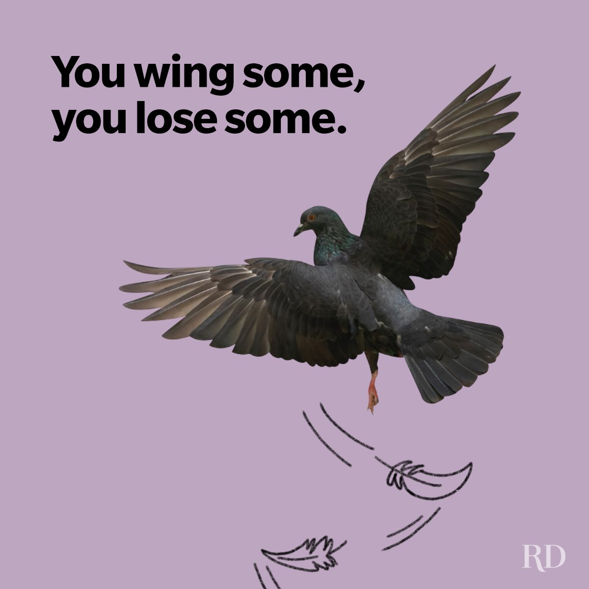 82 Clever Bird Puns and Jokes That’ll Make Your Whole Gaggle Giggle