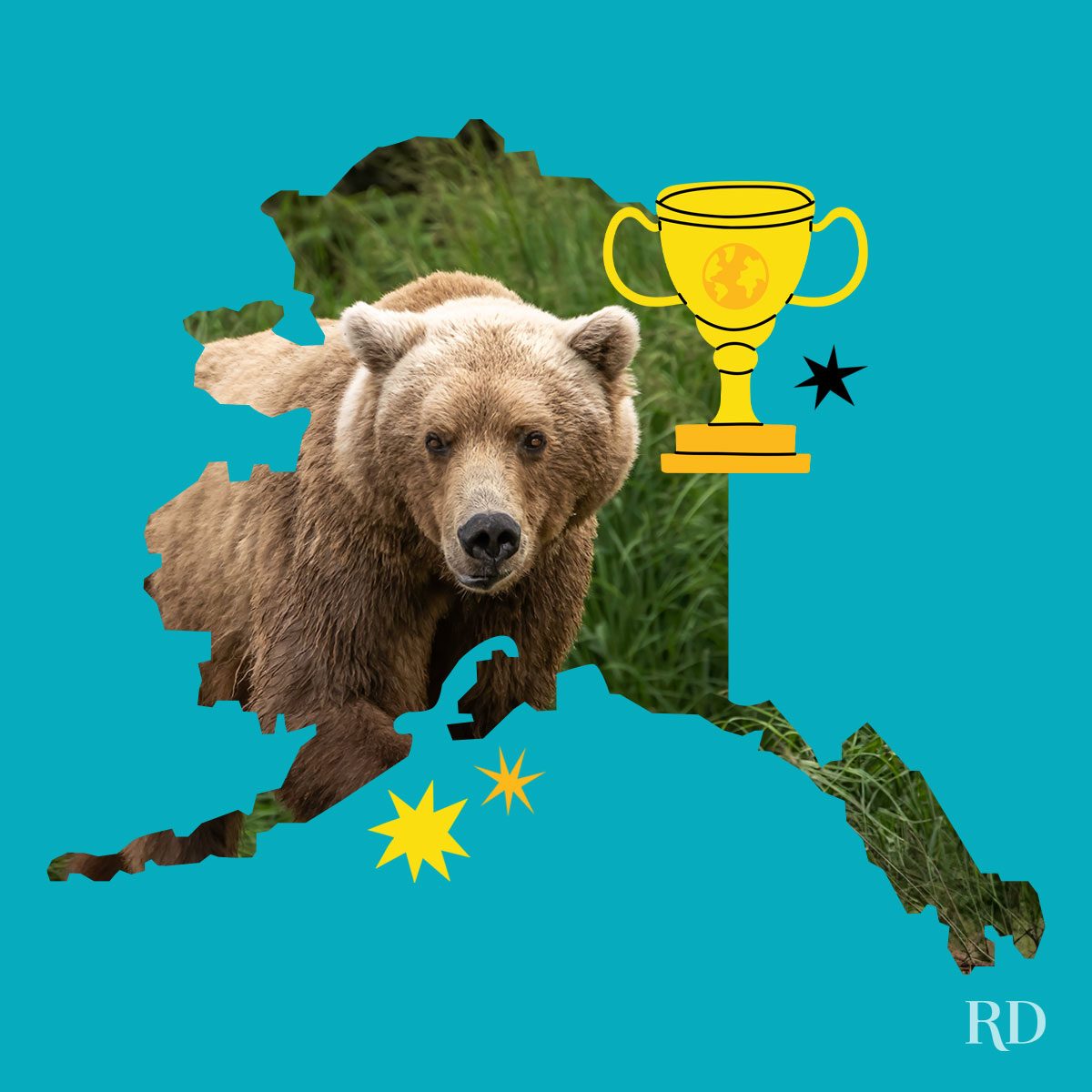 An image relating to a crazy world record of the state of Alaska-Largest-brown-bear-in-the-world - clipped to the state map on a blue background with trophy and stars graphic elements around it.