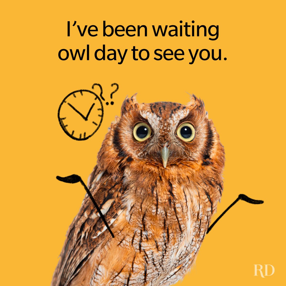 Best Bird Puns