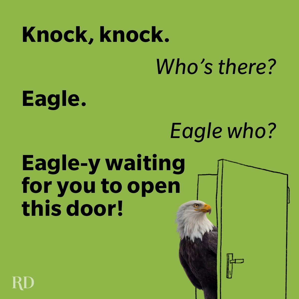 Bird Knock Knock Jokes