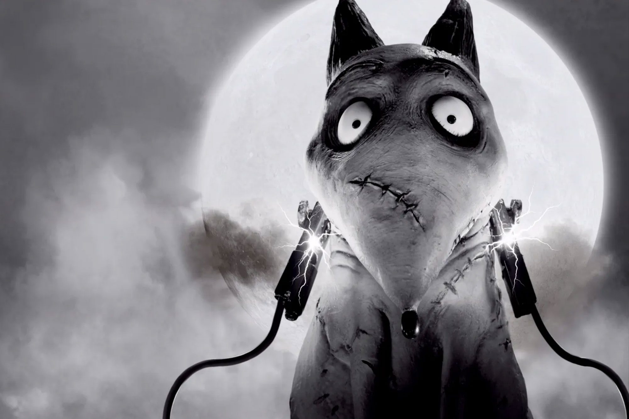 Frankenweenie Via Disneyplus.com