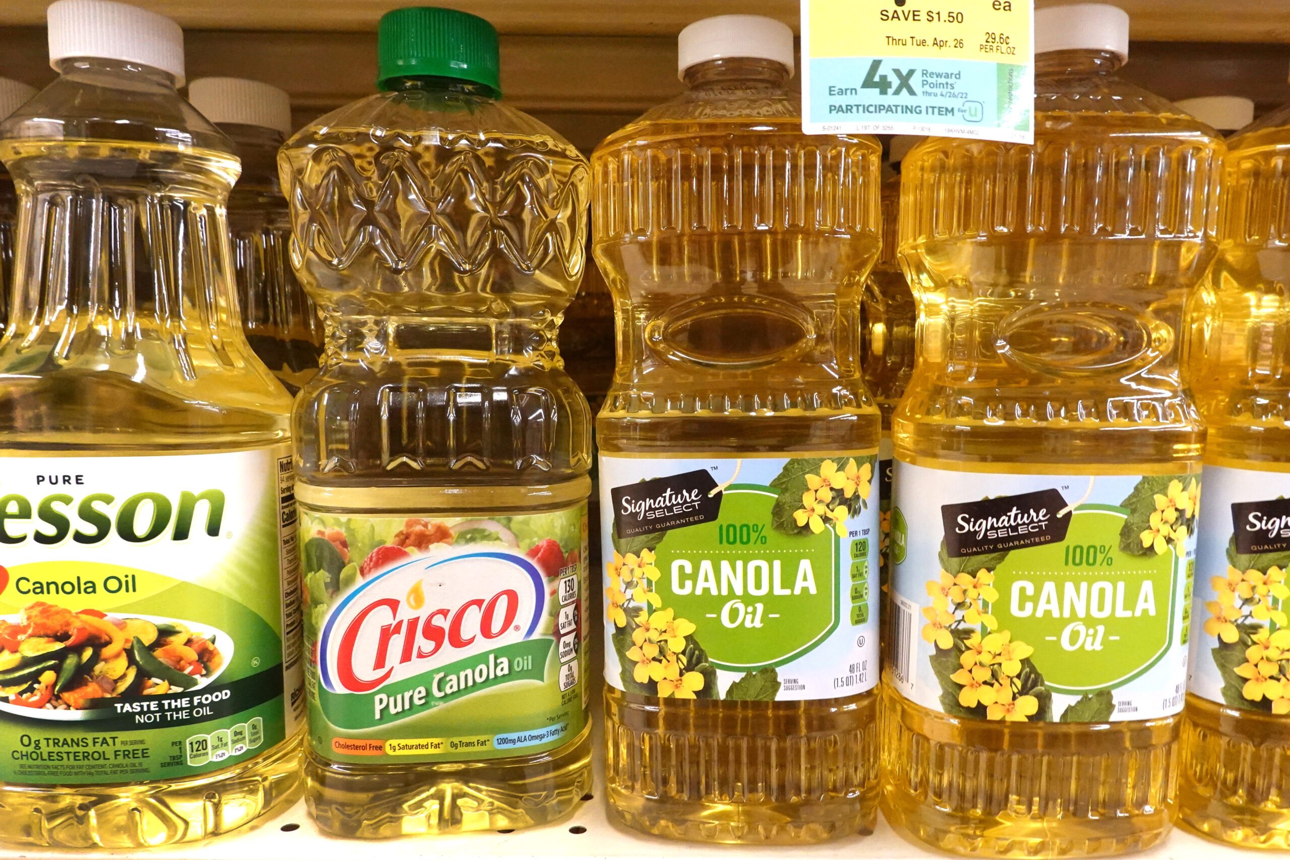 What Does Canola Oil Stand for, and Where Does It Come From?