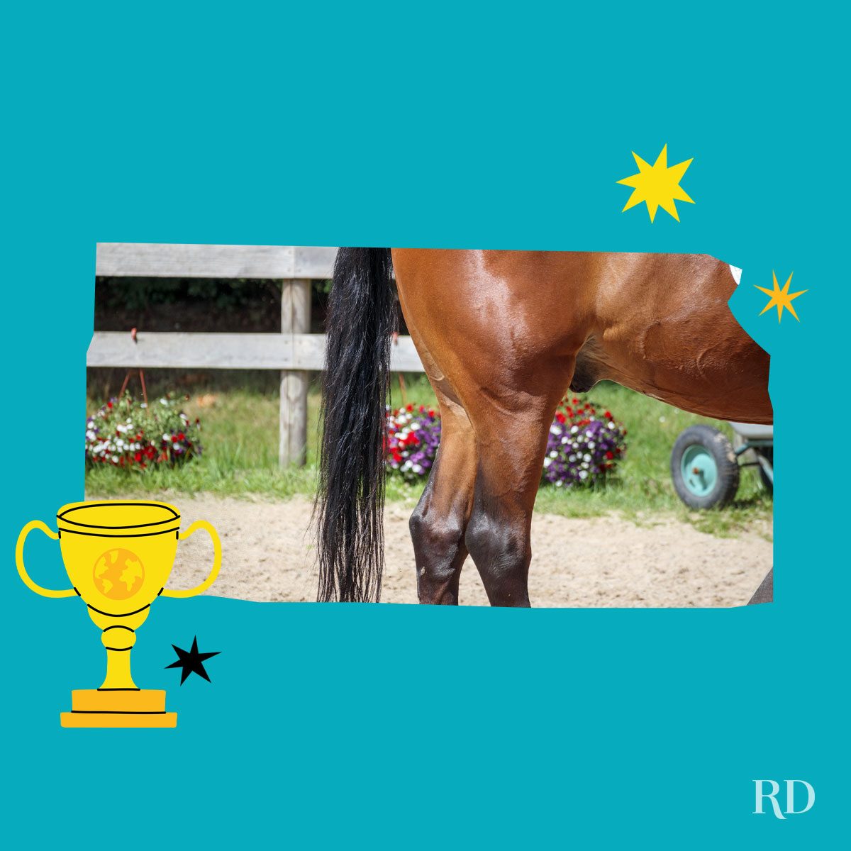 An image relating to a crazy world record of the state of Kansas-Longest-tail-on-a-horse - clipped to the state map on a blue background with trophy and stars graphic elements around it.