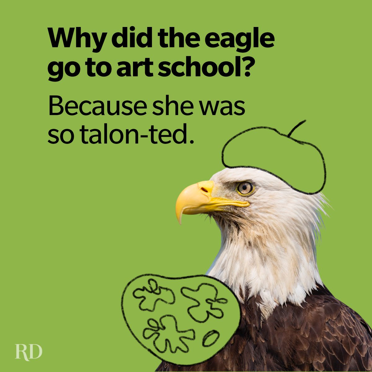 Punny Bird Jokes