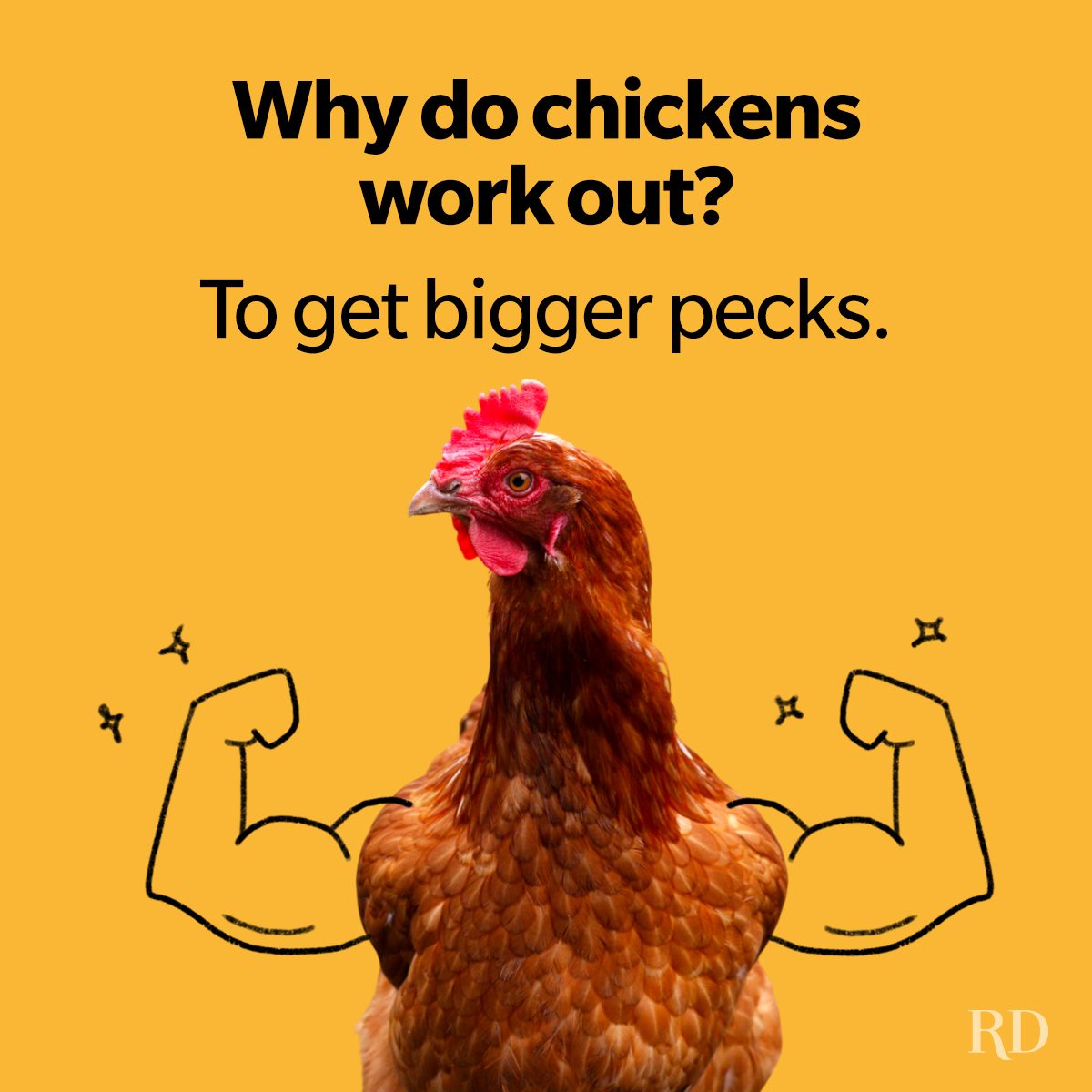 Silly Bird Jokes