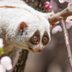 7 Things We Know About Summer Babies