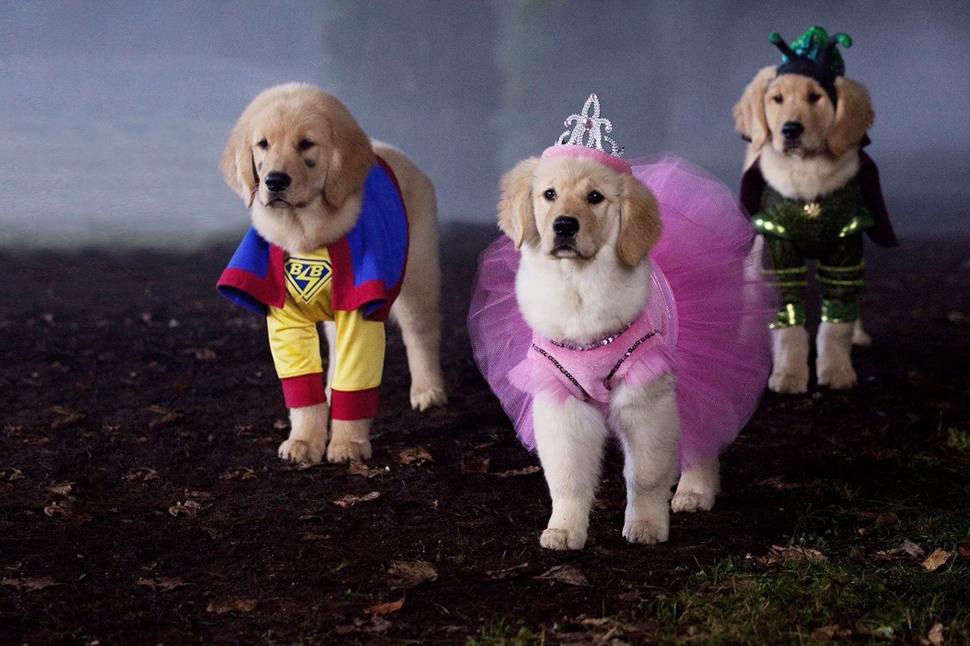 Spooky Buddies Via Disneyplus.com